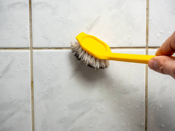 Best Mold Cleaning Services  in Oceanside, CA