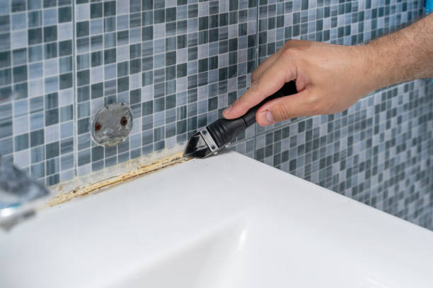 Best Mold Damage Repair  in Oceanside, CA
