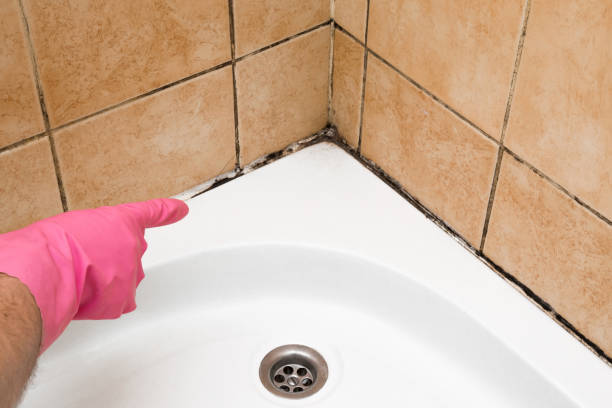 Best Mold Cleaning Services  in Oceanside, CA